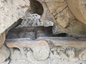 29